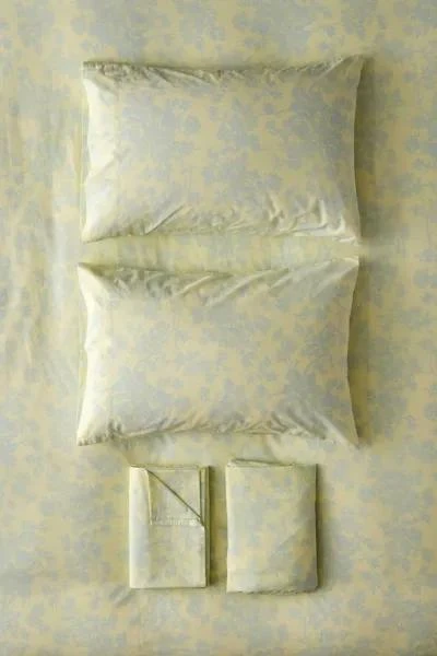 Urban Outfitters Toile Pattern Sheet Set 3