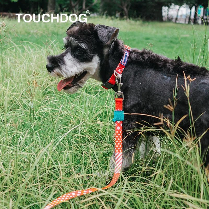 Touchdog Touchdog 'Trendzy' 2-in-1 Matching Fashion Designer Printed Dog Leash and Collar 2
