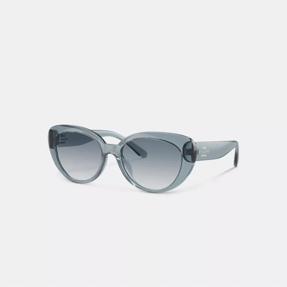 Coach Cateye Sunglasses 1