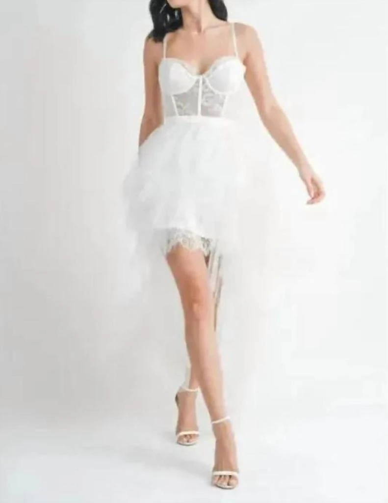 Klesis Klesis - Angela Tulle Maxi Dress 1