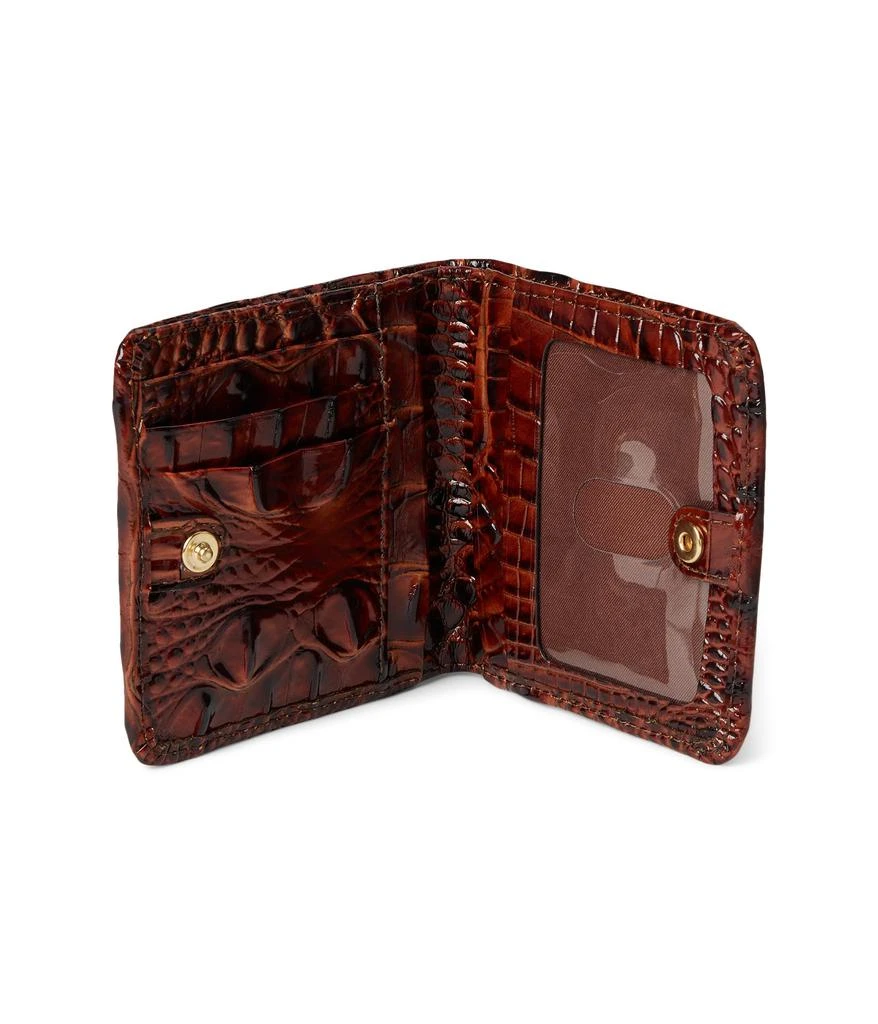 Brahmin Jane 2