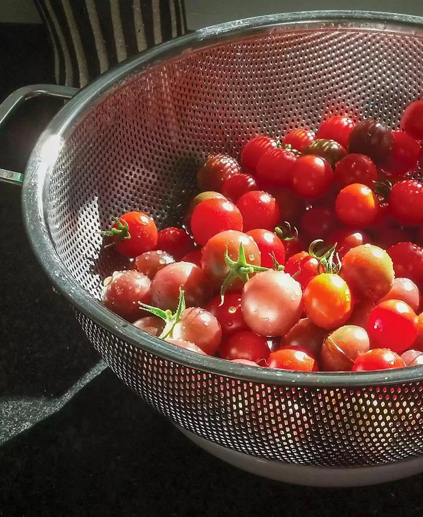 RSVP International Endurance Precision Pierced Stainless Steel 5 Quart Colander 2