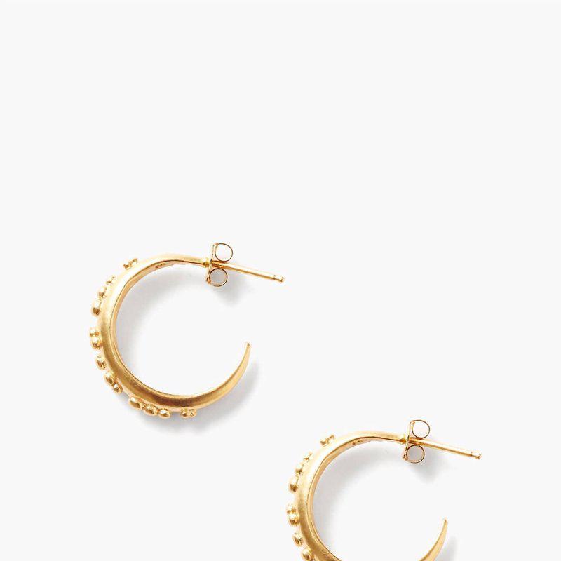 Chan Luu Dotted Hoop Earrings In Gold