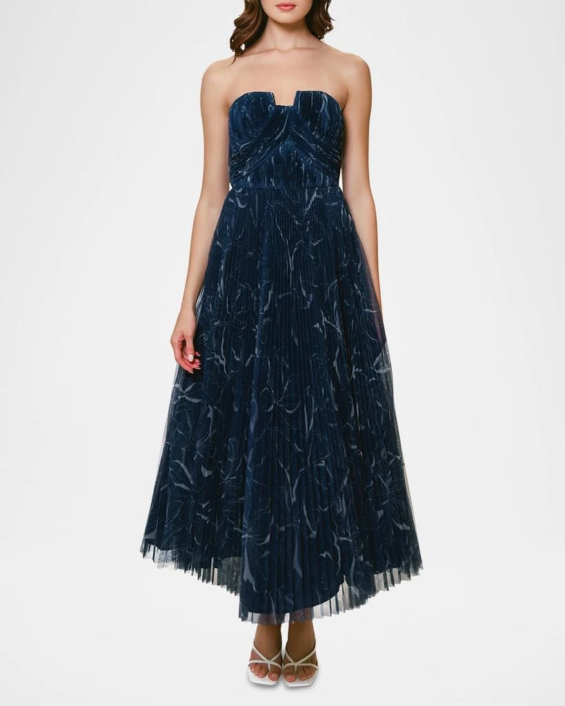 Hutch Corene Pleated Floral-Print Tulle Ankle Gown 2
