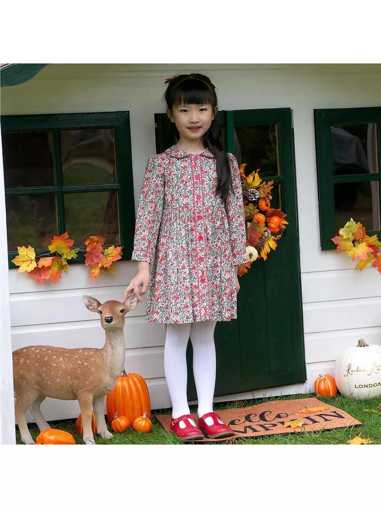 Rachel Riley Little Girl's & Girl's Botanical Floral Shirtdress 3