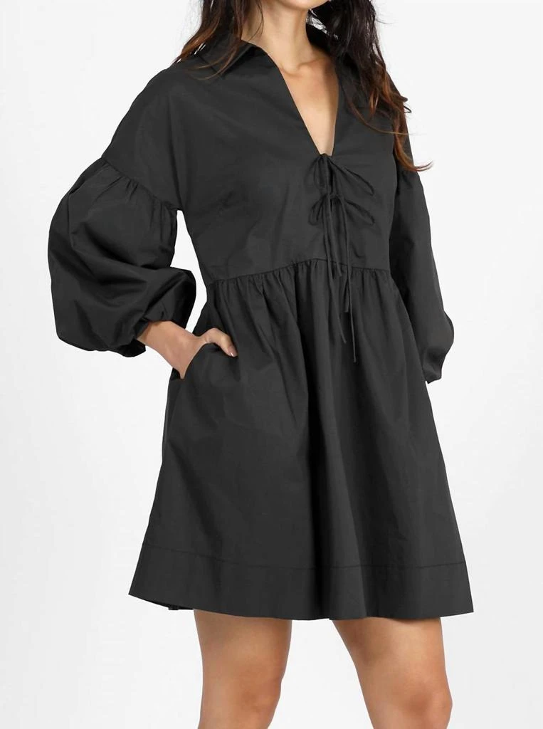 Greylin Greylin - Connie Balloon Dress 3
