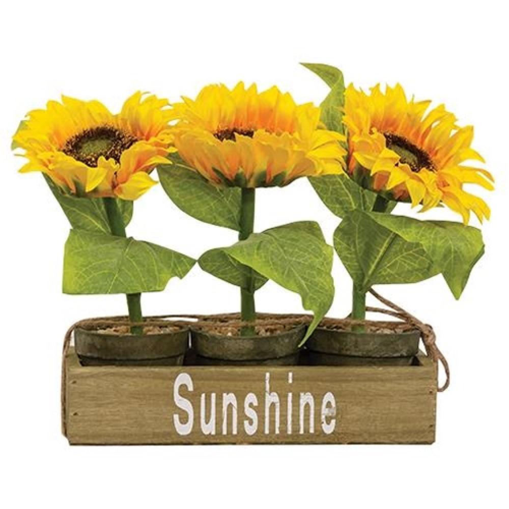 HomeGifo *3/Set Potted Sunflowers in Wooden Crate