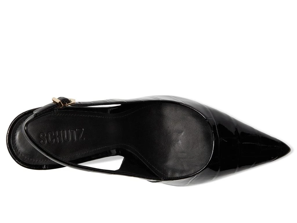Schutz Paola 2