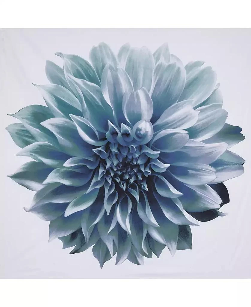 Madison Park Norah Cotton Percale Shower Curtain, 72" x  72" 3