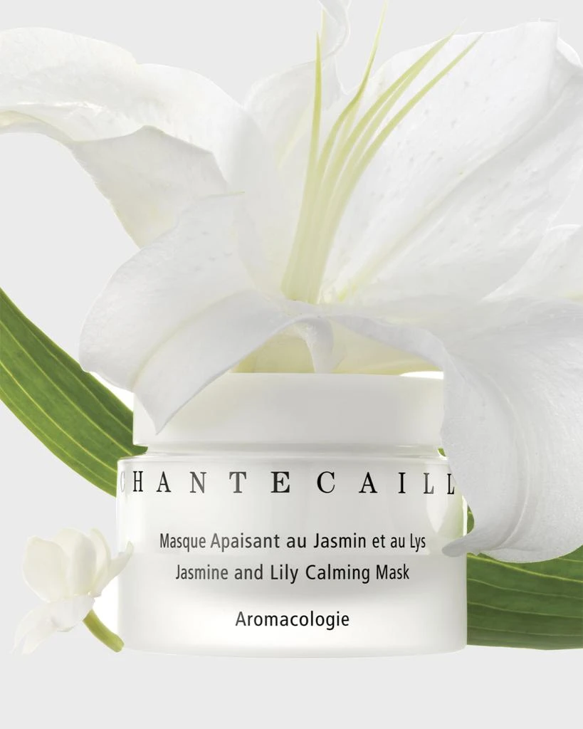 Chantecaille Limited Edition 3-Step Botanical Routine 3