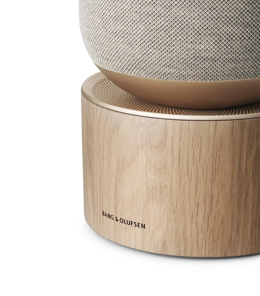 Bang & Olufsen Beosound Balance Speaker 10