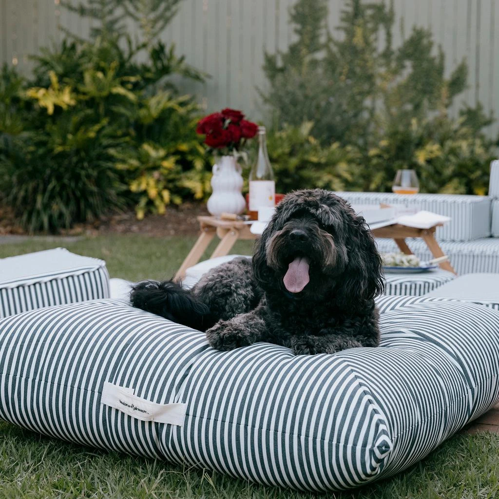 Business & Pleasure Floor Pillow 4