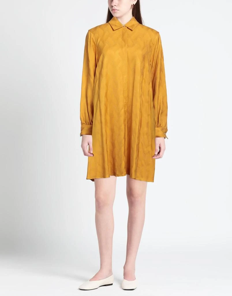 LE SARTE PETTEGOLE Shirt dress 2