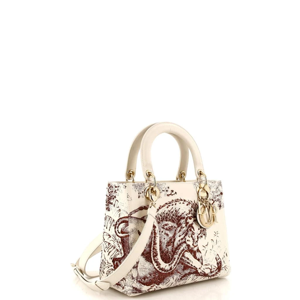 Dior Toile de Jouy Lady Dior Bag Beaded Leather Medium 2