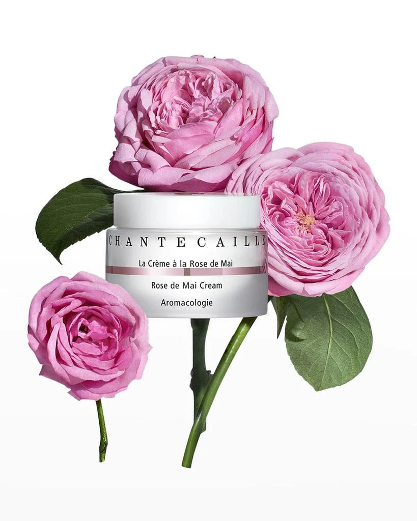 Chantecaille Rose de Mai Cream, 1.7 oz. 2