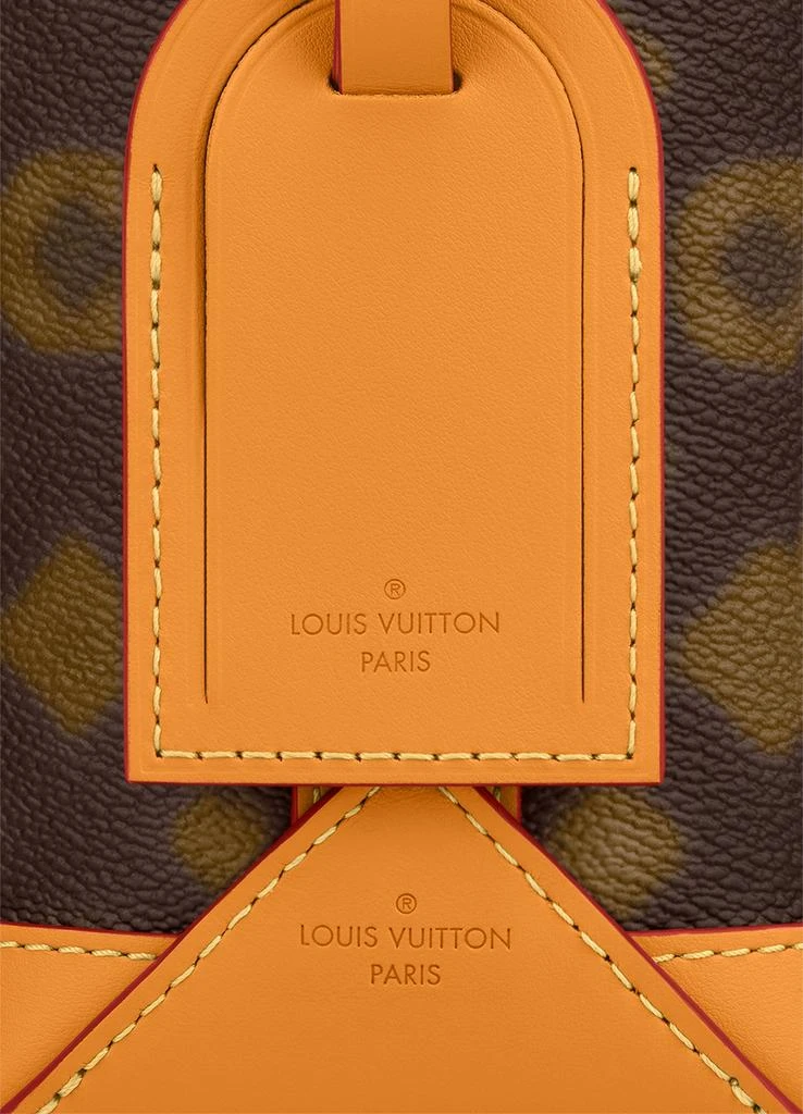 Louis Vuitton Hobo Cruiser PM 6