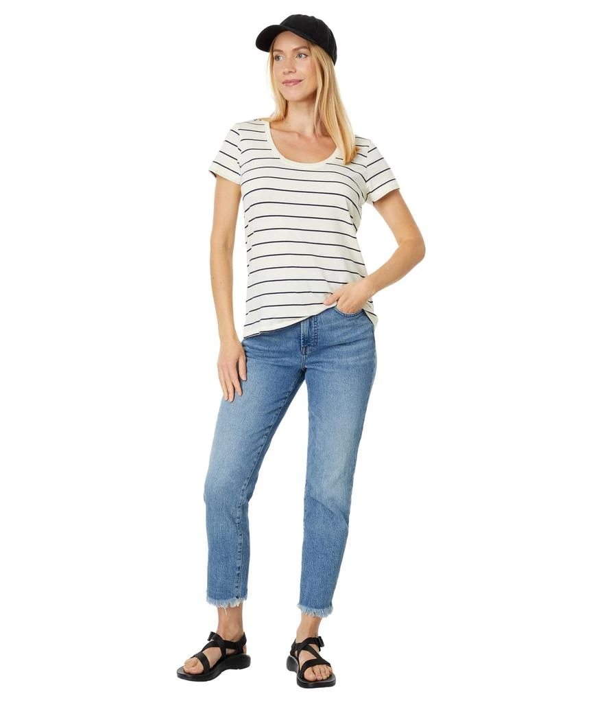 L.L.BEAN Soft Stretch Supima Tee Scoop Neck Short Sleeve Stripe 4