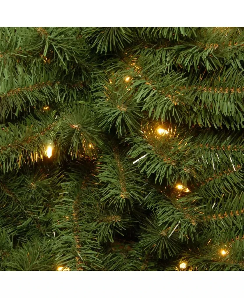 National Tree Company National Tree 4' Kincaid Spruce Tree w/100 Clear Lights 2
