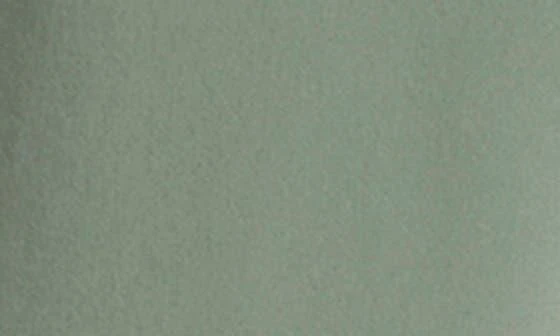 Quiksilver Surfsilk Arch Board Shorts 8