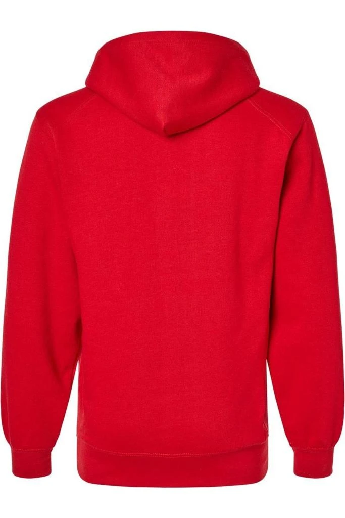 Badger Hooded Sweatshirt 2