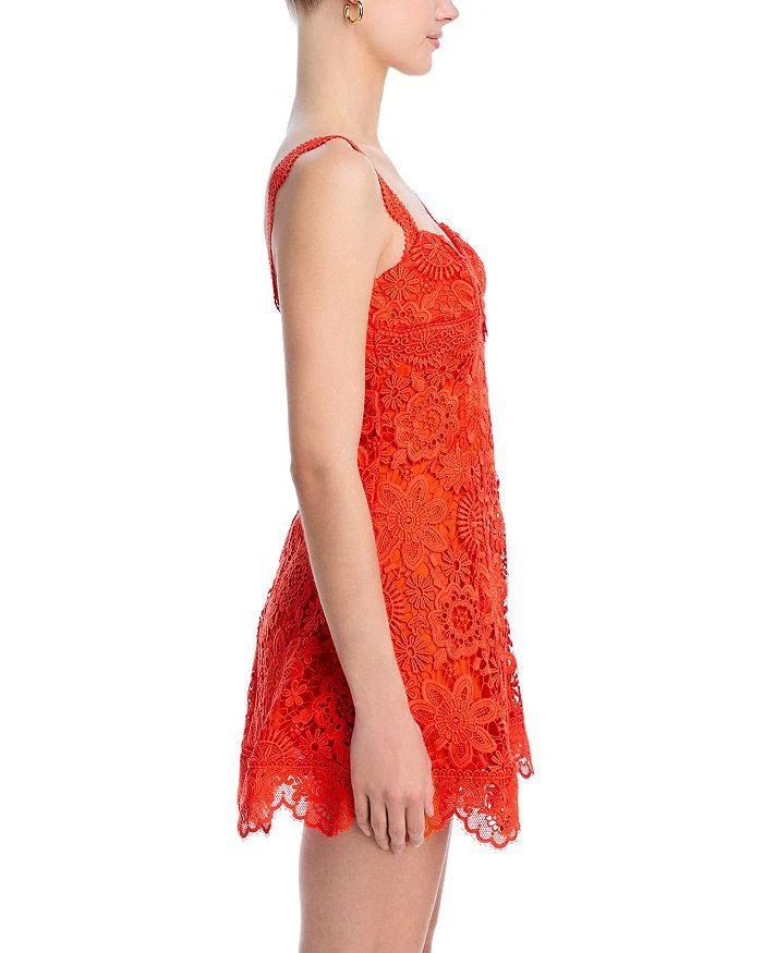 Waimari Trina Lace Dress 5