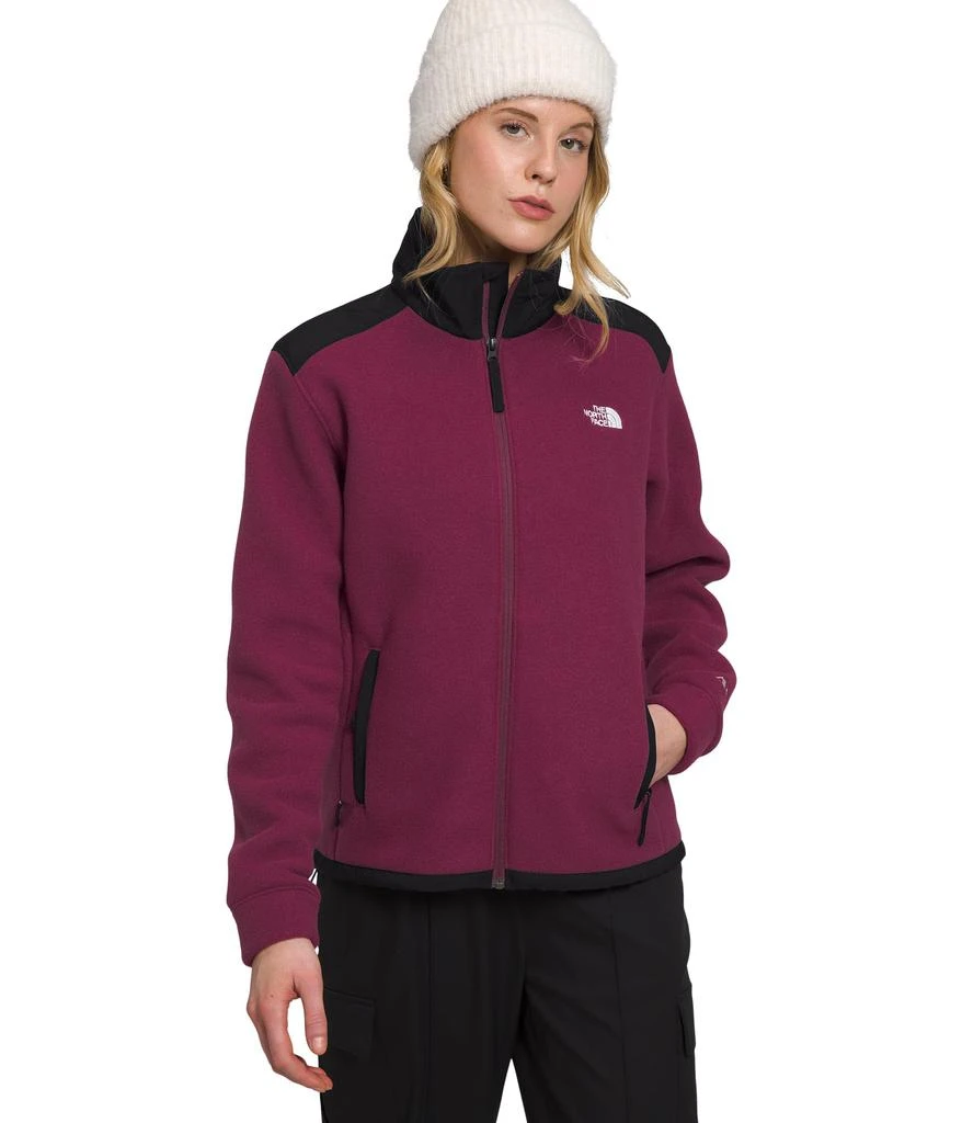 The North Face Alpine Polartec® 200 Full Zip Jacket 1