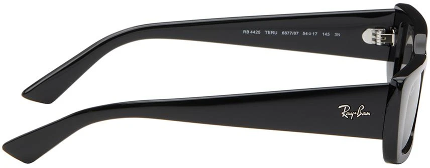 Ray-Ban Black Teru Sunglasses 2