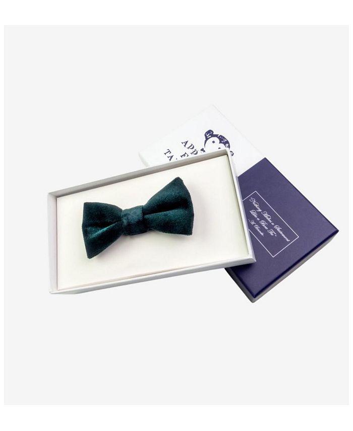 Appaman Boys' Bow Tie - Little Kid, Big Kid