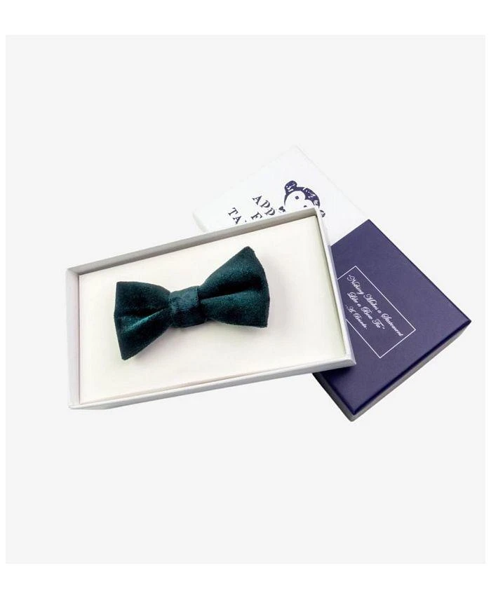 Appaman Boys' Bow Tie - Little Kid, Big Kid 2