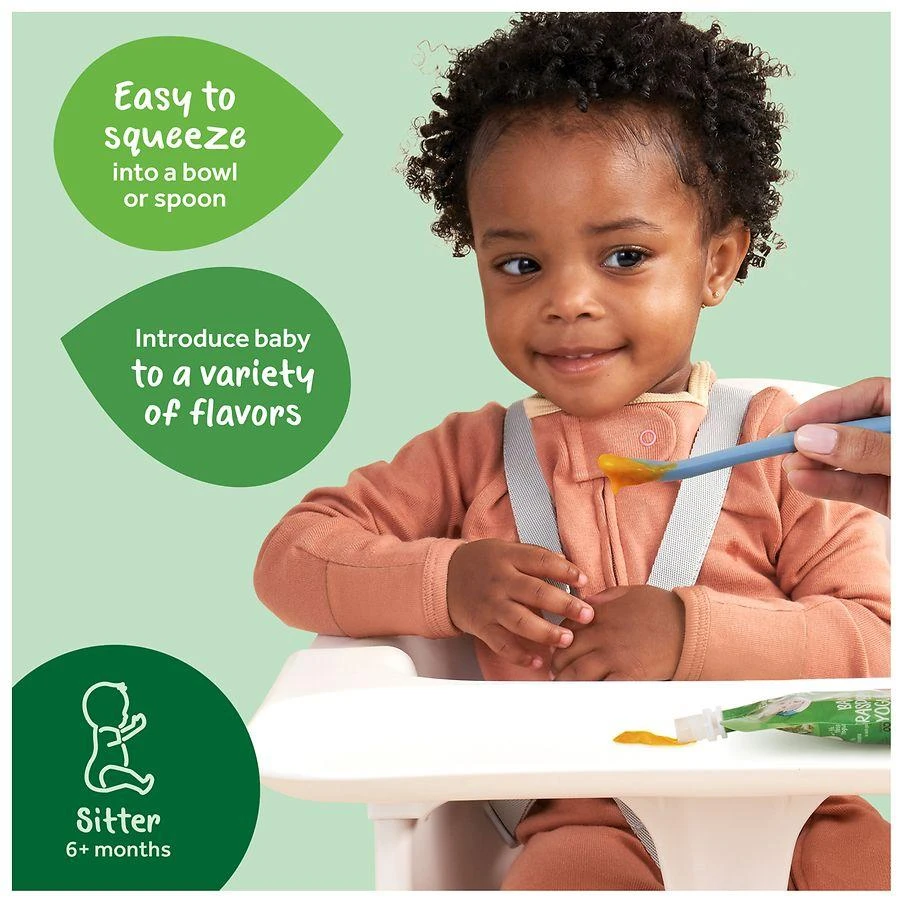 Gerber 2nd Foods Baby Food Pear Peach Strawberry 5