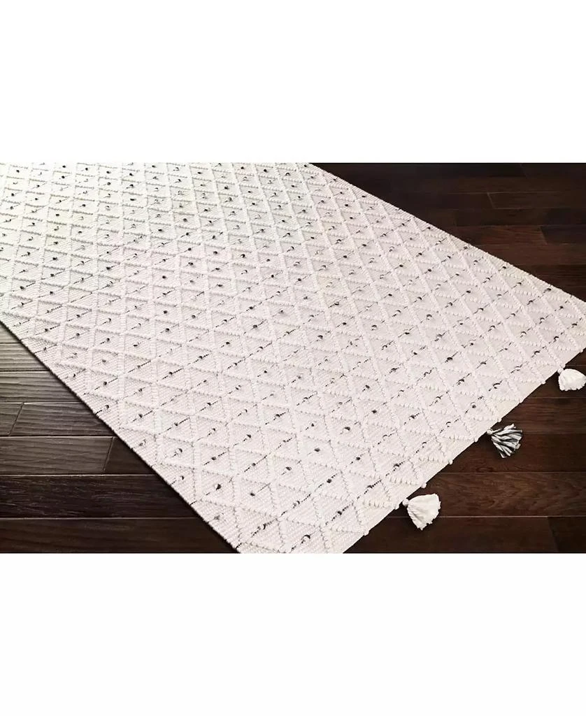 Livabliss Azalea AZA-2301 Gray 2
 x 3
 Area Rug 2