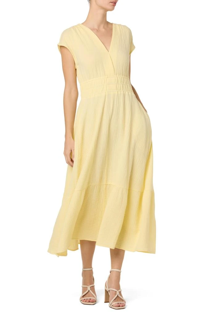 Joe's Gauze Maxi Dress 1