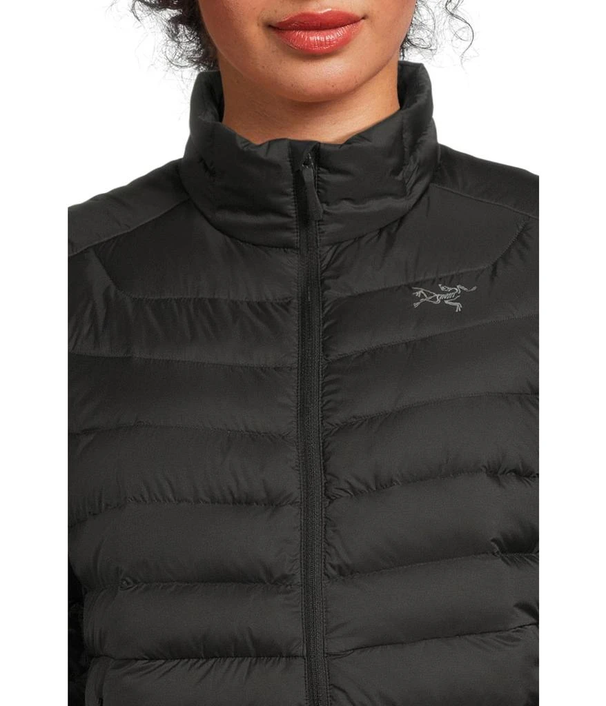 Arc'teryx Cerium Jacket 4
