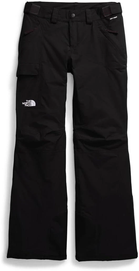 The North Face THE NORTH FACE Women
s Freedom Insulated Pant (Standard 
Plus Size) | Waterproof for Snow Sports, Gaiters, Adjustable Waist 6