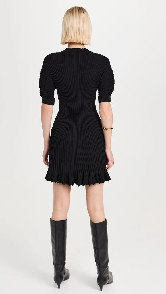 Ulla Johnson Talie Dress 2