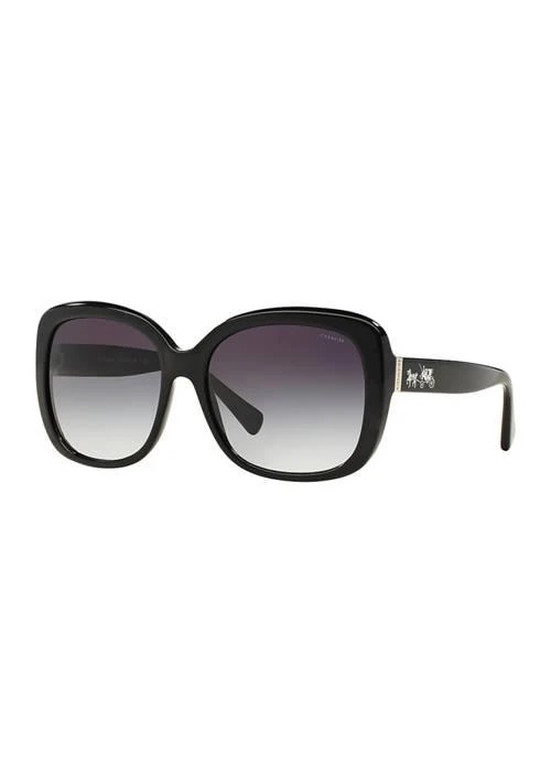 Coach Tortoise Sunglasses 1