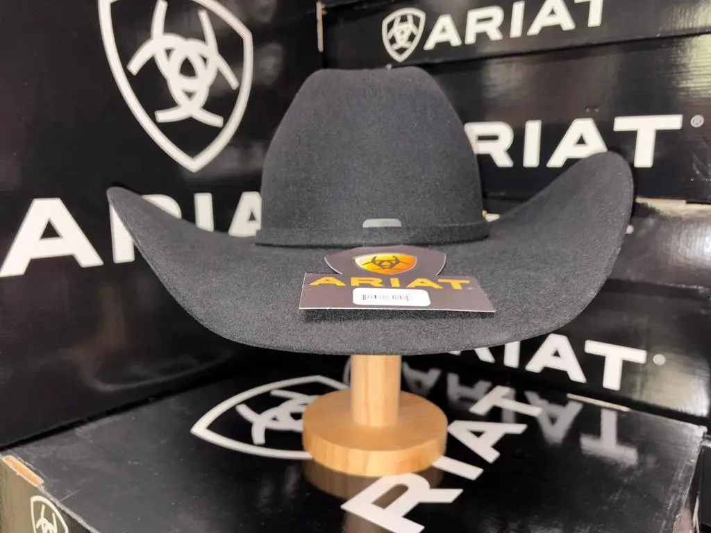 Ariat Ariat - Unisex - Beaver 20x Fur Western Ranchers Crown Hat