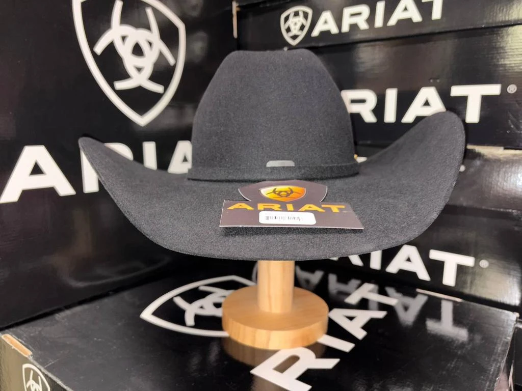 Ariat Ariat - Unisex - Beaver 20x Fur Western Ranchers Crown Hat