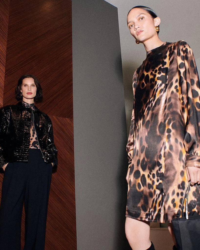 Whistles Misty Leopard Print Cleo Dress 2