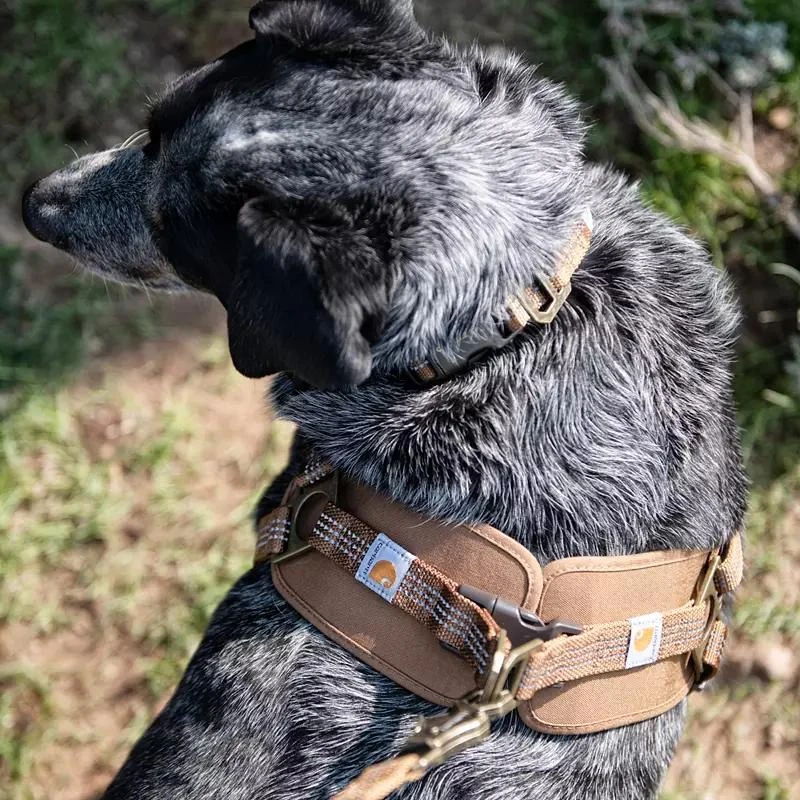 Carhartt Carhartt Dog Training Harness 7