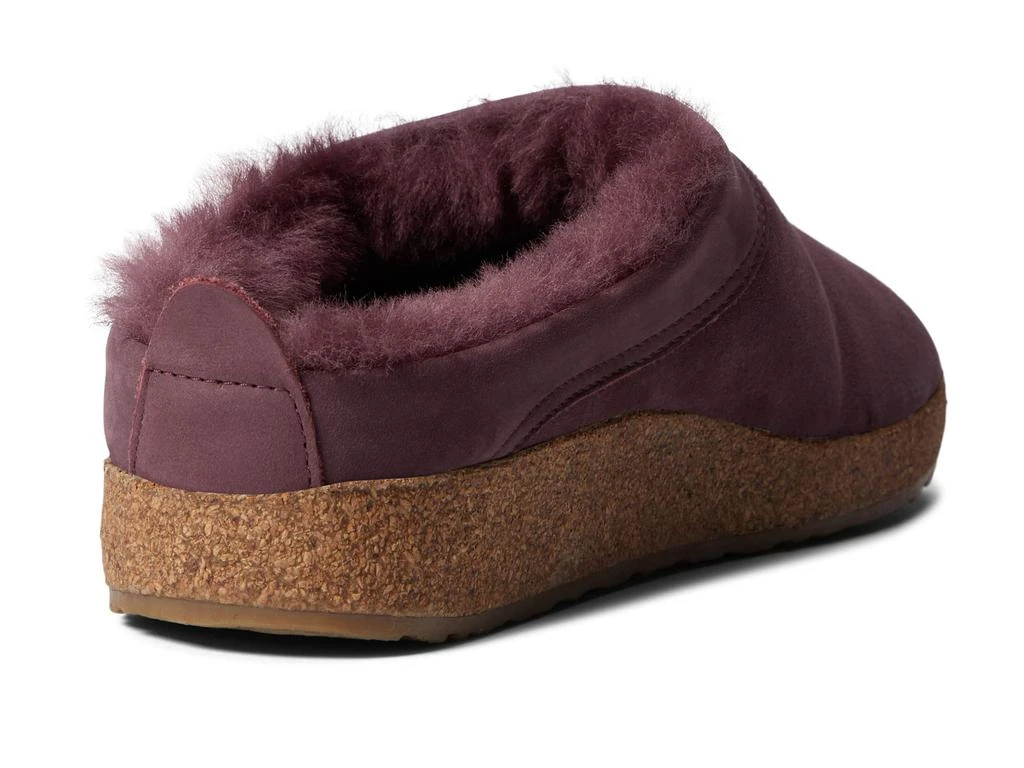 Haflinger Snowbird 5