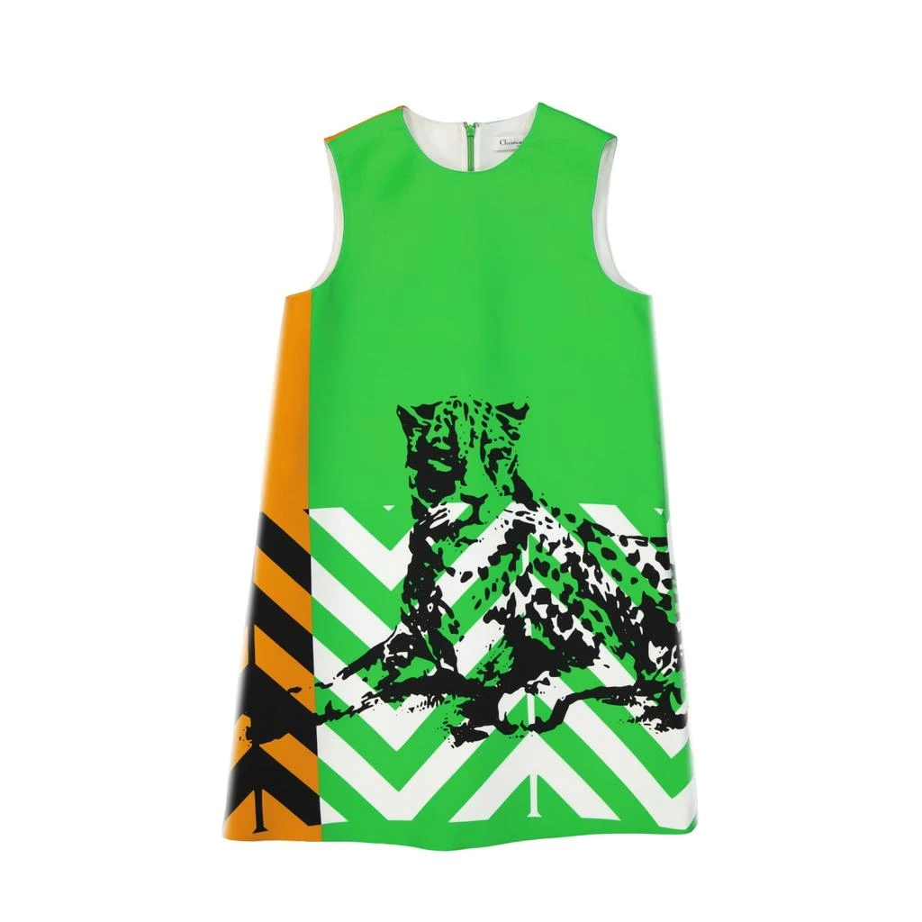 Dior Printed Mini Dress 1