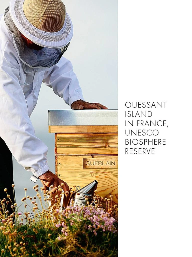 Guerlain Abeille Royale Anti-Aging Fortifying Lotion Toner 8