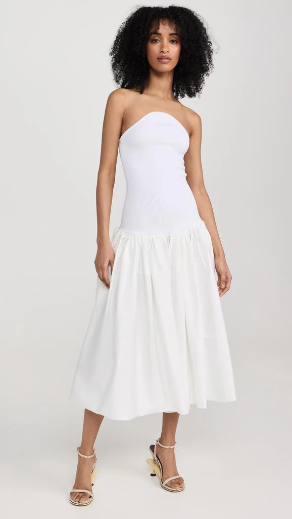 Alexis Kamali Dress 6