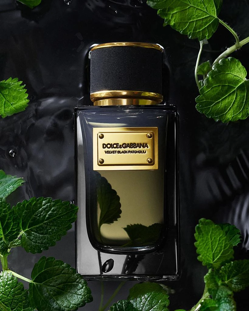 Dolce & Gabbana Velvet Black Patchouli Eau de Parfum, 3.3 oz. 2