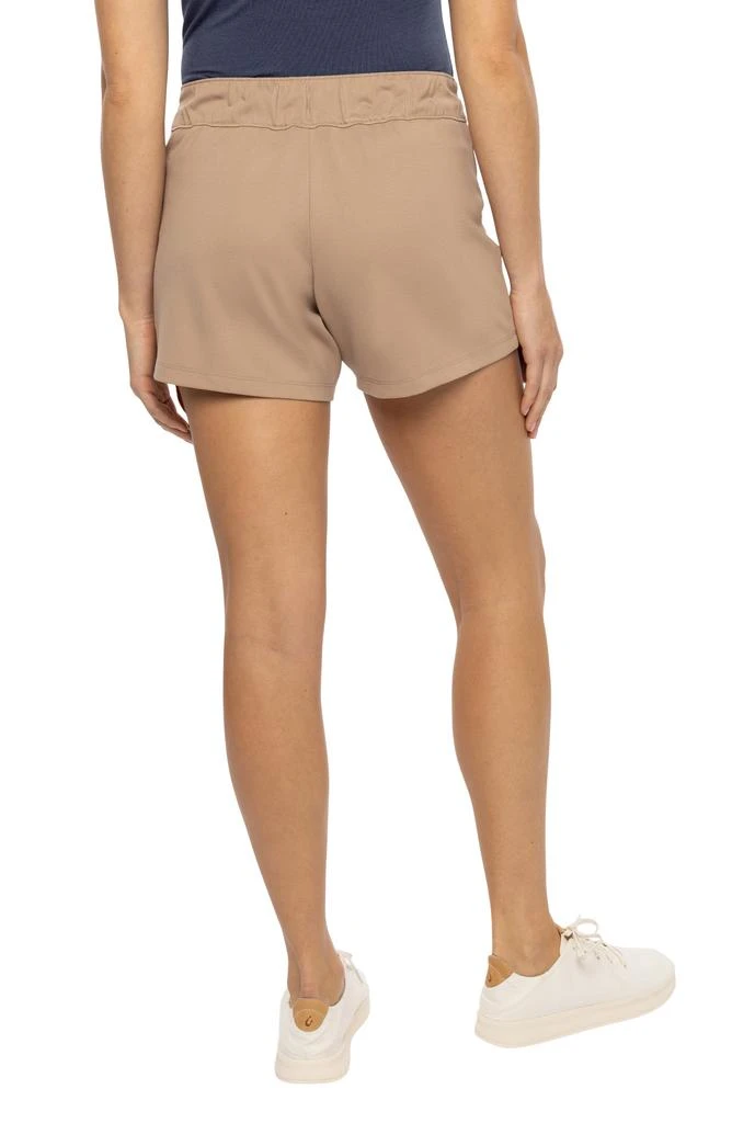 Travis Mathew Under the Sun Stretch Shorts 2