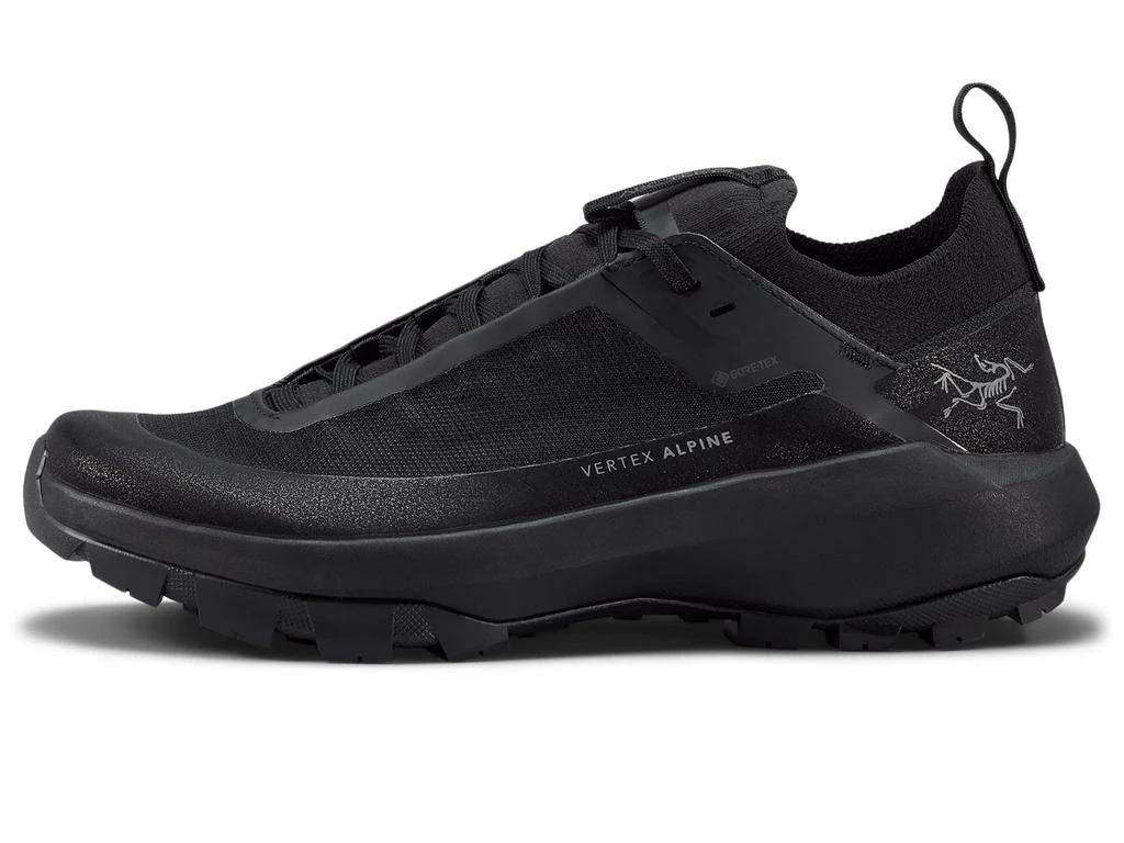 Arc'teryx Vertex Alpine GTX 1