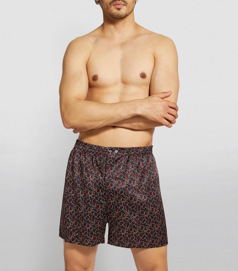 Zimmerli Silk Leaf Print Boxer Shorts 2