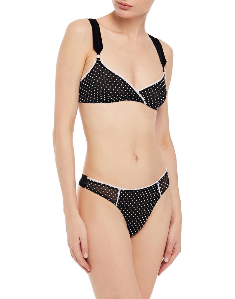 MORGAN LANE Brief