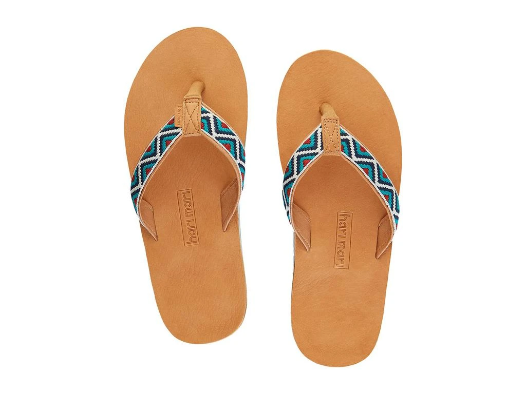 HARI MARI Fields Camino 2